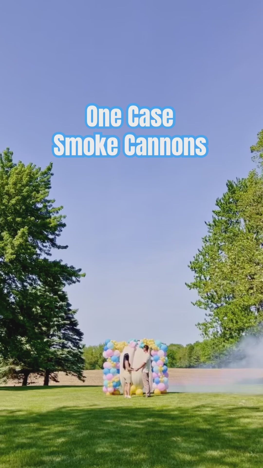 Smoke Cannons One Case Big Grin Fireworks
