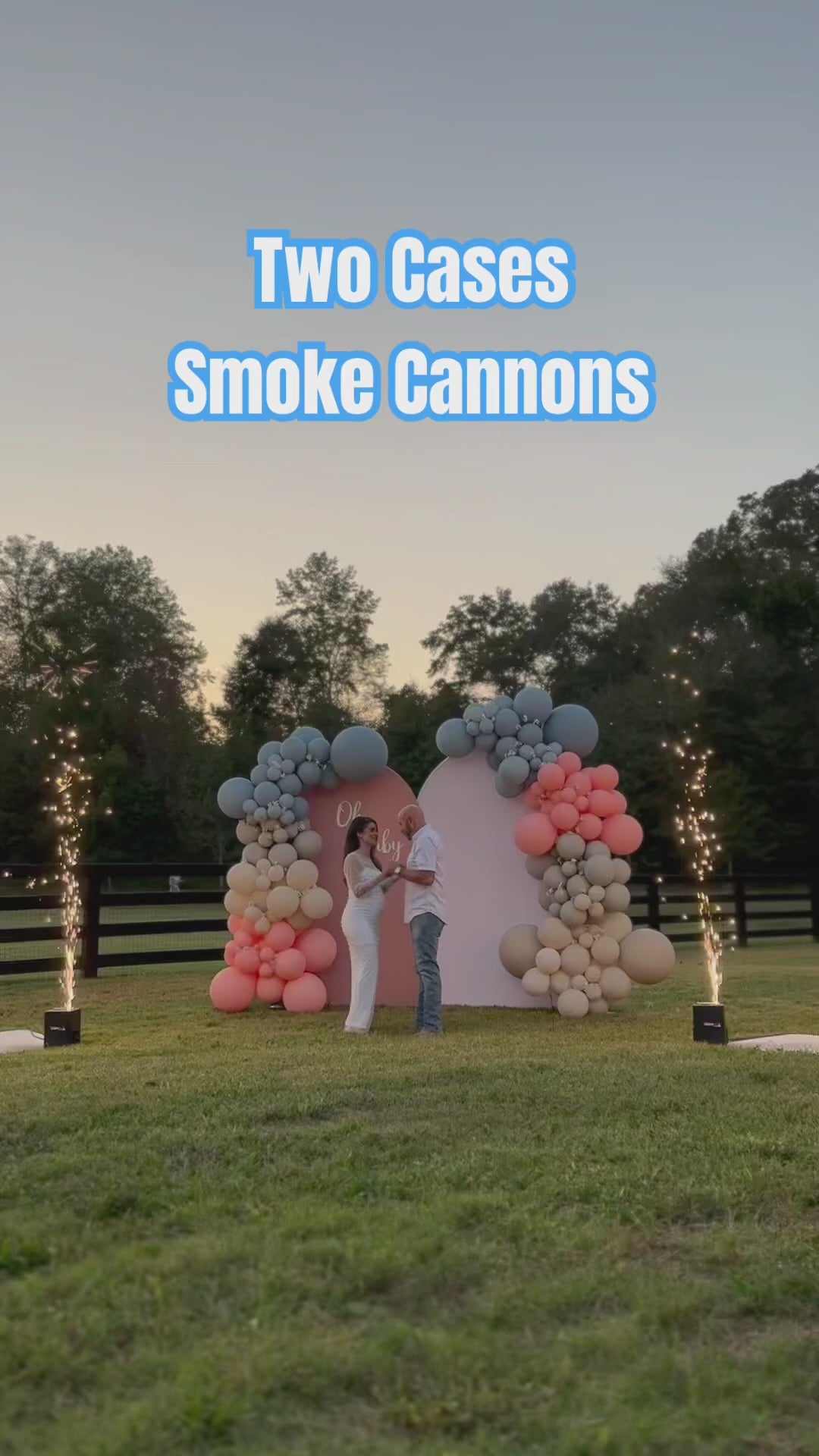 Prince Or Princess Smoke Cannons 4 Pack Free Shipping Big Grin Fireworks