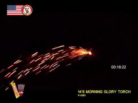 Morning Glory 14" (bundle) video