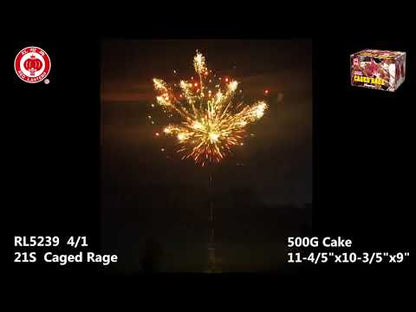 Caged Rage video