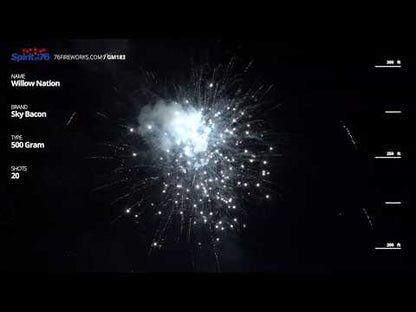Willow Nation video