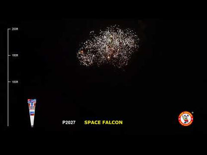 Space Falcon video