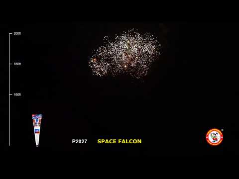 Space Falcon video