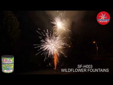 Wildflowers Fountain video