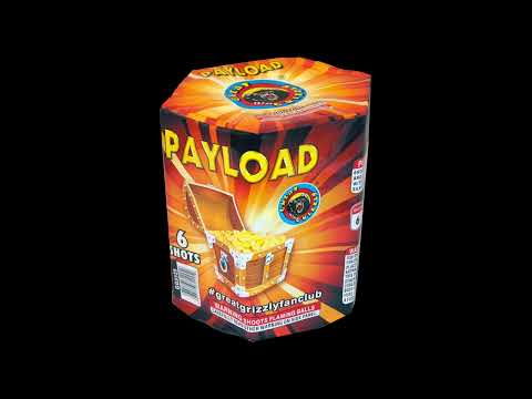 Payload video