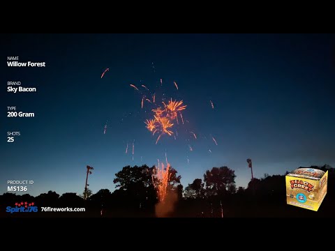 Willow Forest video