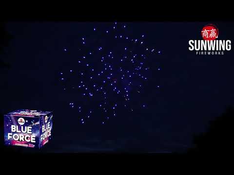 Blue Force video