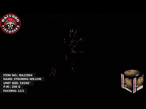Strobing Williow video