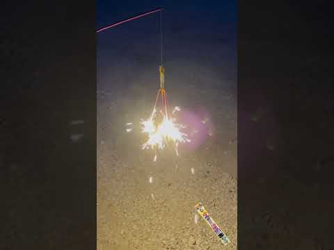 Jumbo Octopus video