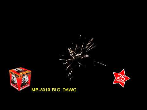 Big Dawg video