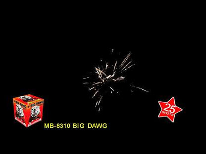 Big Dawg video