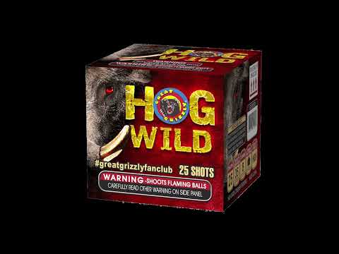 Hog Wild video
