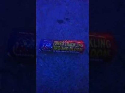 Jumbo Crackling Ground Bloom Flower video