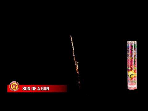 Son Of A Gun video