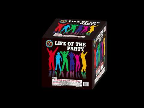 Life Of The Party video