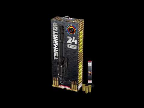 Terminator video
