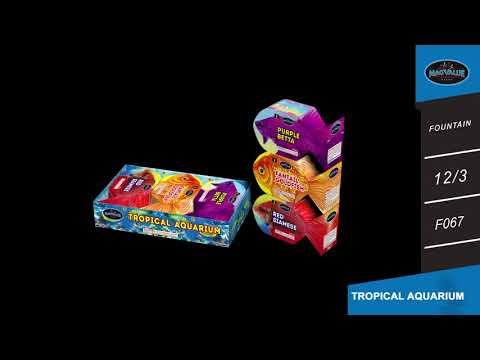 Tropical Aquarium video