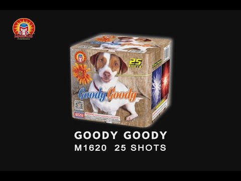 Goody Goody video