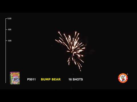 Bump Bear video
