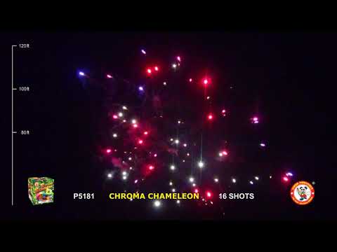 CHAMELEON 2000 16'S video