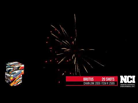 Brutus video