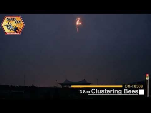 Clustering Bee Rockets video
