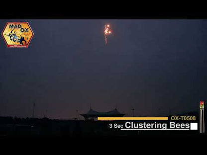 Clustering Bee Rockets video