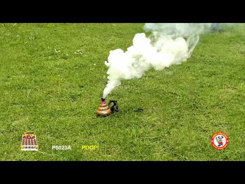 Poop! video