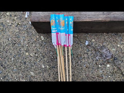 Wild Geese Rocket video
