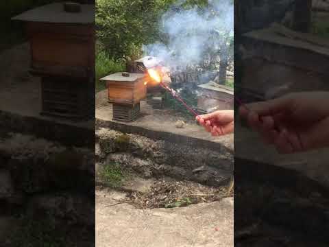Glory Colorful Sparklers (bundle) video