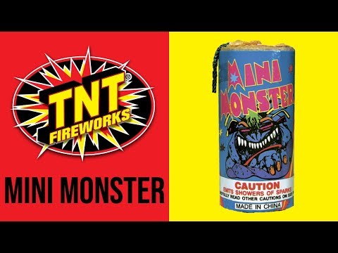 Mini Monster video
