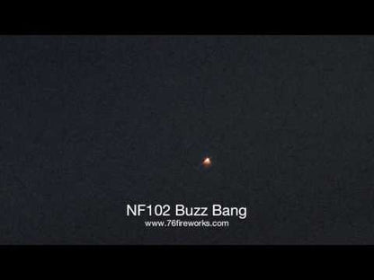 Buzz Bang video