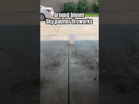 Ground Bloom Flower (bundle) video